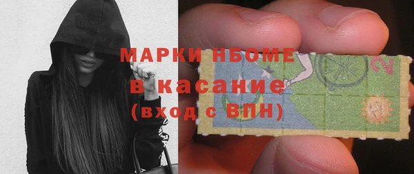 индика Бородино