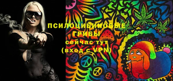 ПСИЛОЦИБИНОВЫЕ ГРИБЫ Верхний Тагил