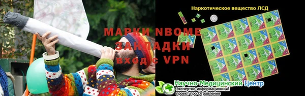 ПСИЛОЦИБИНОВЫЕ ГРИБЫ Верхний Тагил