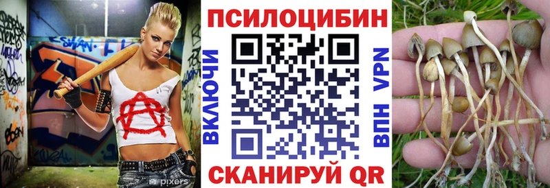 Галлюциногенные грибы прущие грибы  Северск 